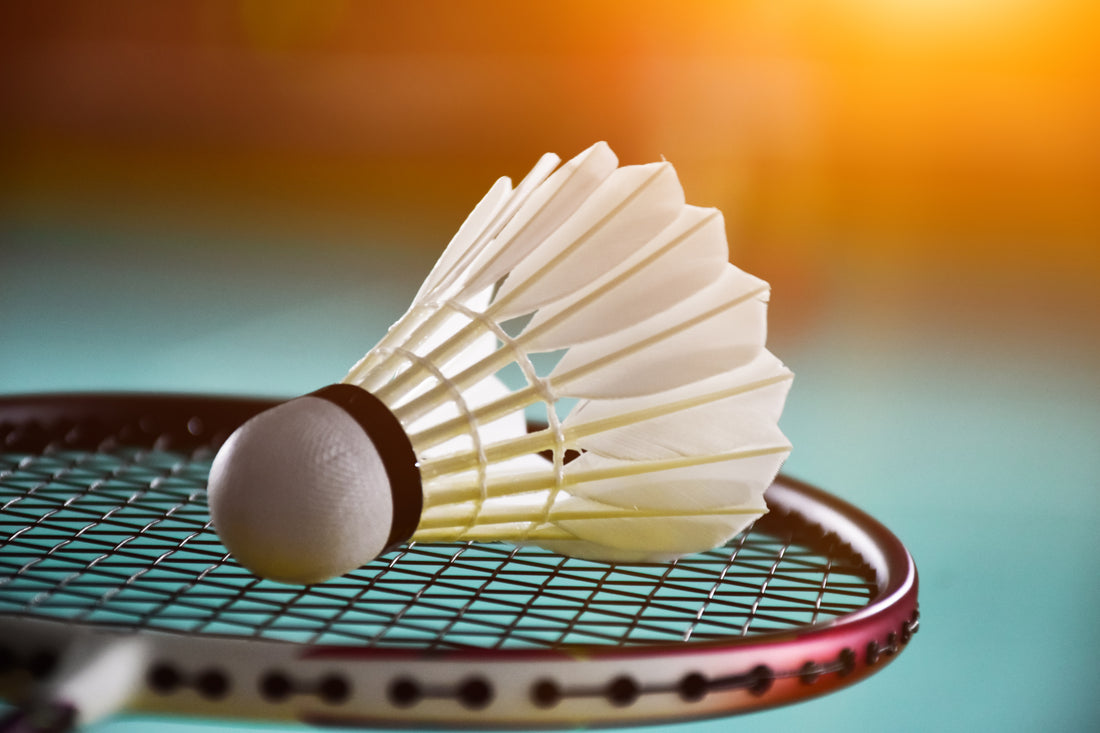 Top 10 Badminton